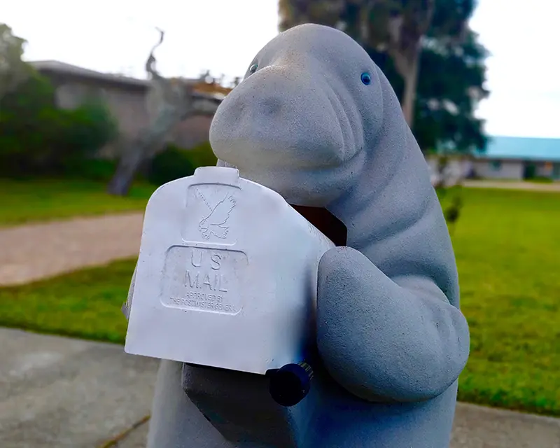 Milly the Manatee Invites You to Donate to MRC!