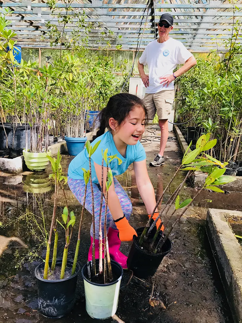 MRC has the largest state-licensed mangrove nursery in Florida.