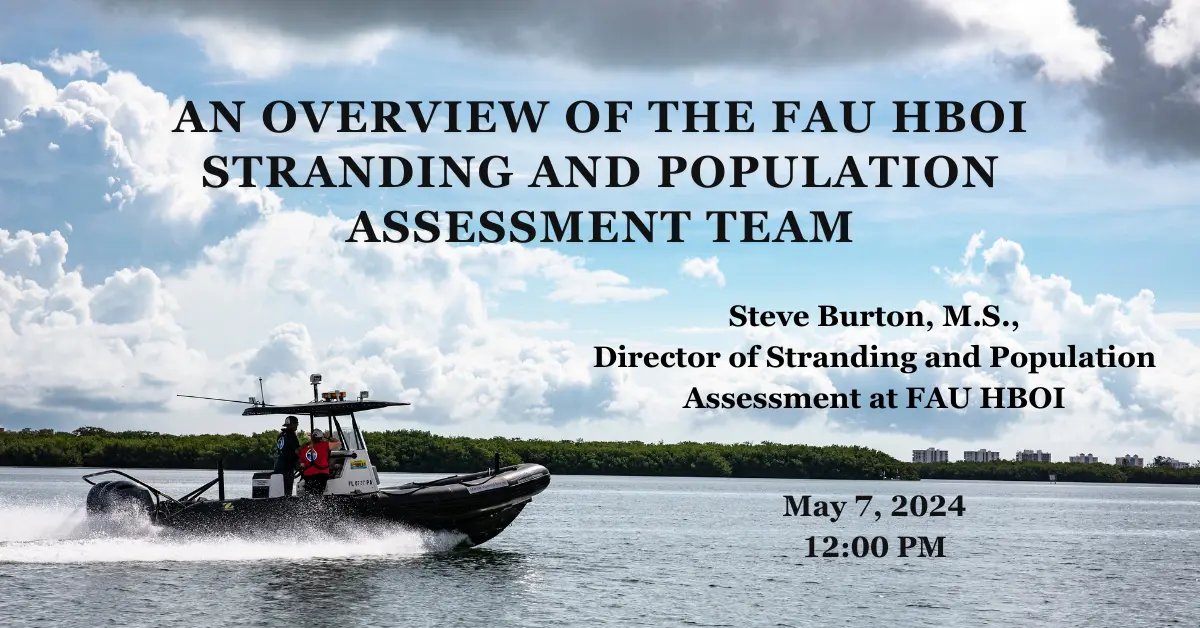 May Lagoon at Noon: FAU Harbor Branch Oceanographic Institute Stranding and Population Assessment Team