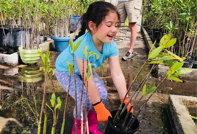 Mangrove Workshop (Sebastian)