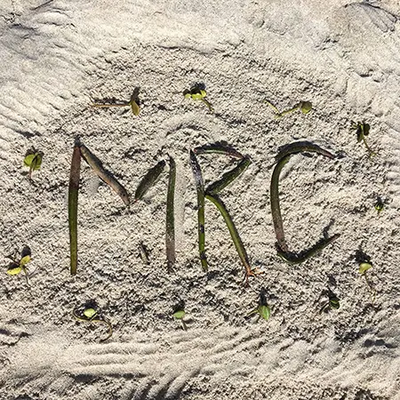 Sponsor an MRC Internship