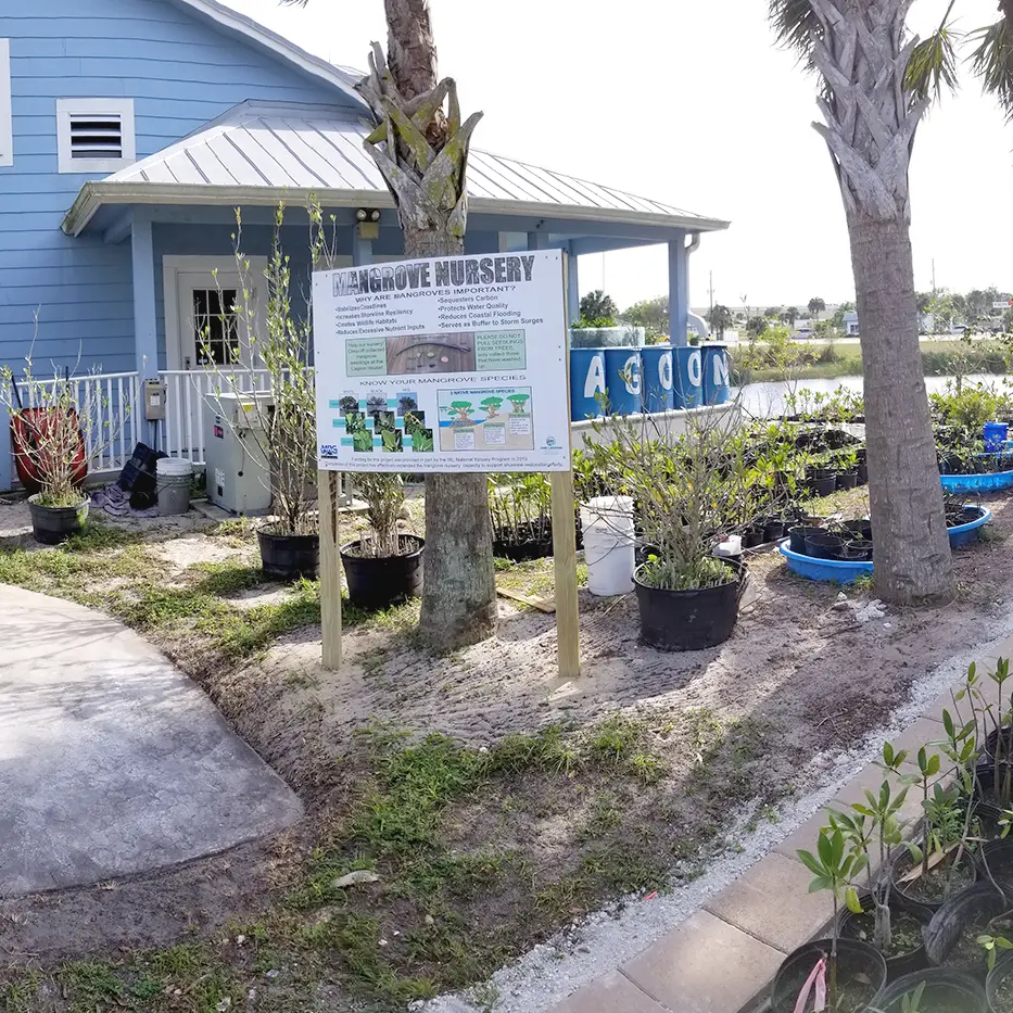 Sponsor Lagoon House Mangrove Nursery