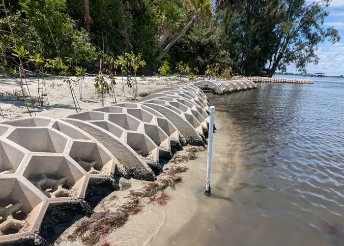 2024-report-AisLookoutLSR Ais Lookout Point North Living Shoreline Restoration