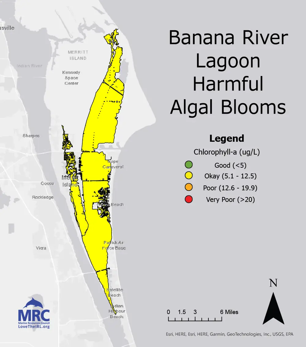 Banana River Lagoon Harmful Algal Blooms