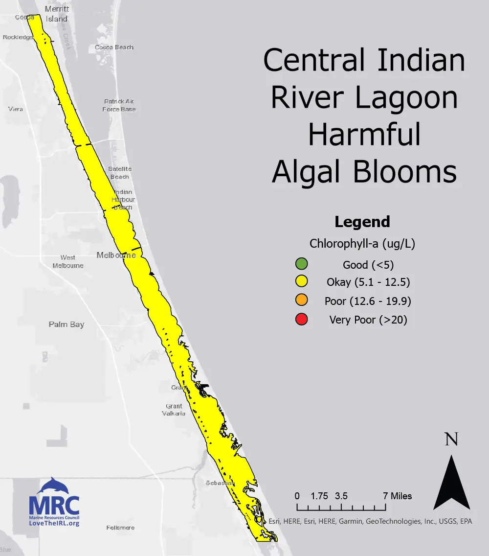 Central Indian River Lagoon Harmful Algal Blooms