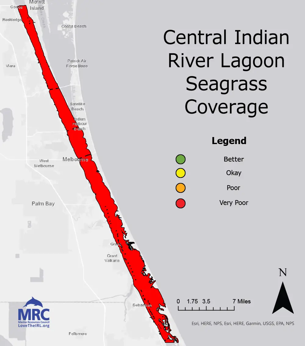 Central Indian River Lagoon Seagrass Coverage