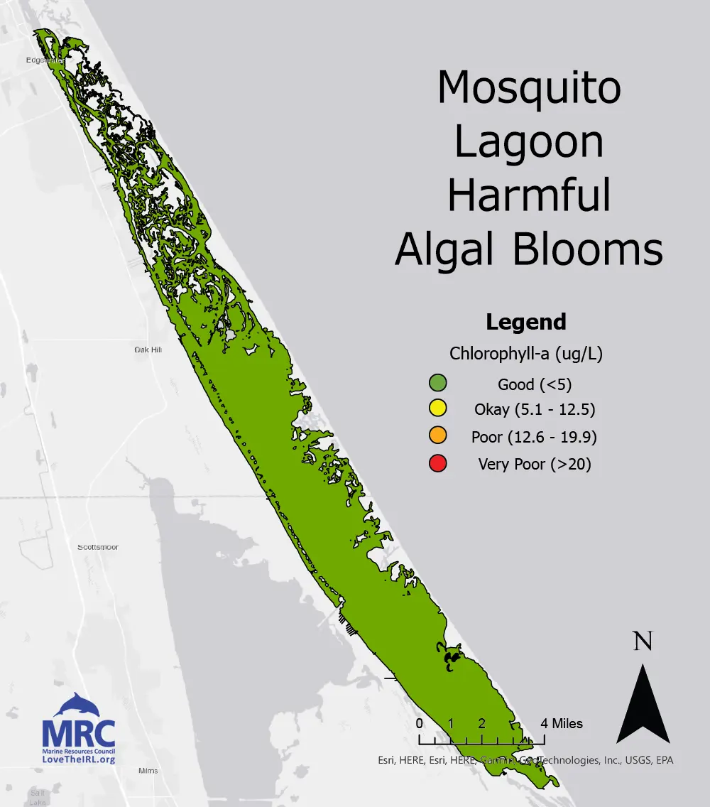 Mosquito Lagoon Harmful Algal Blooms