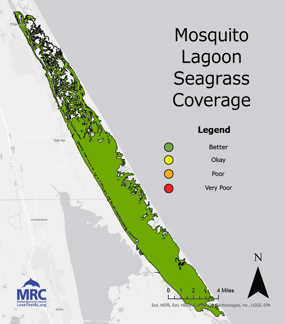 Mosquito Lagoon Seagrass Coverage