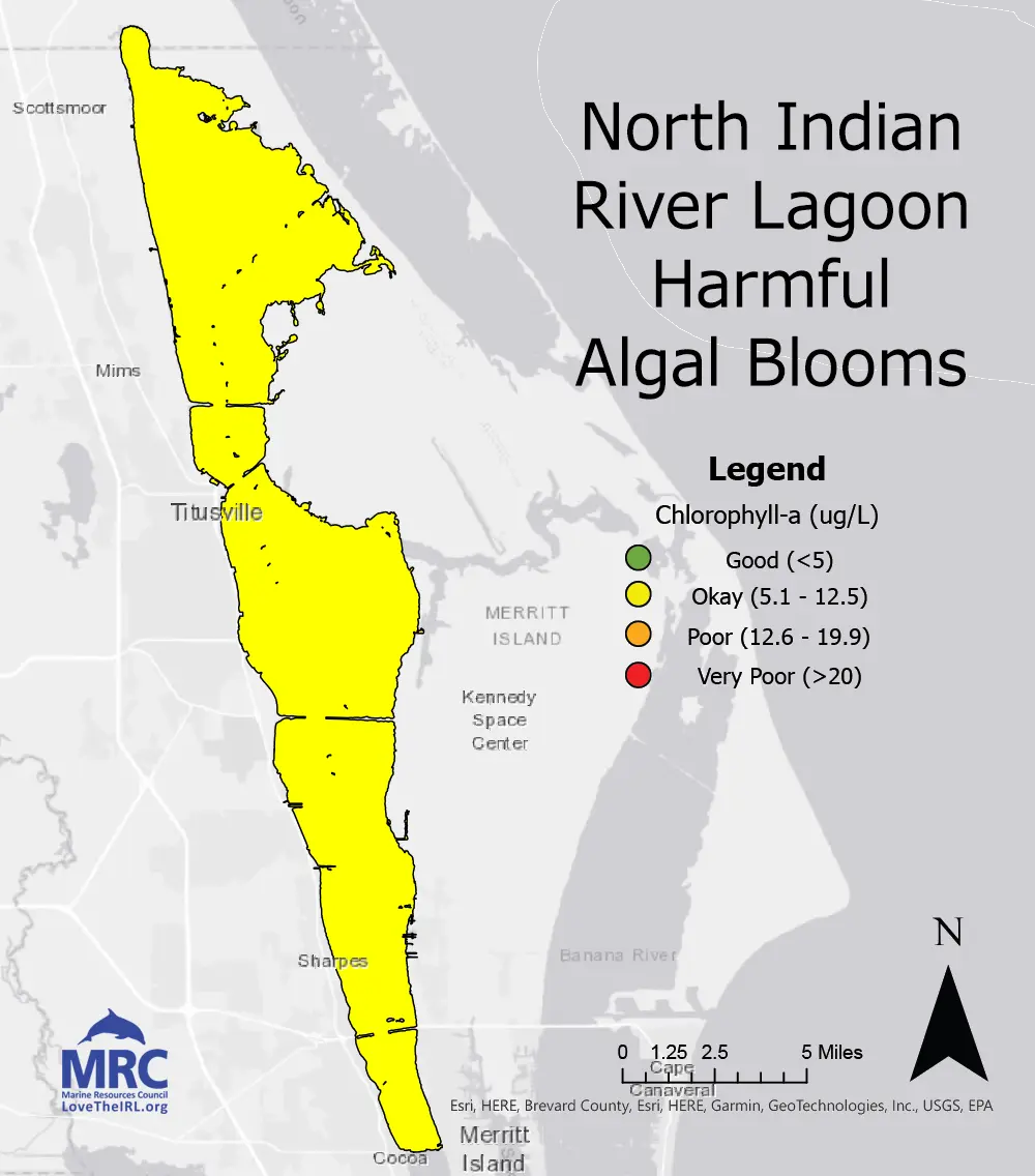 North Indian River Lagoon Harmful Algal Blooms