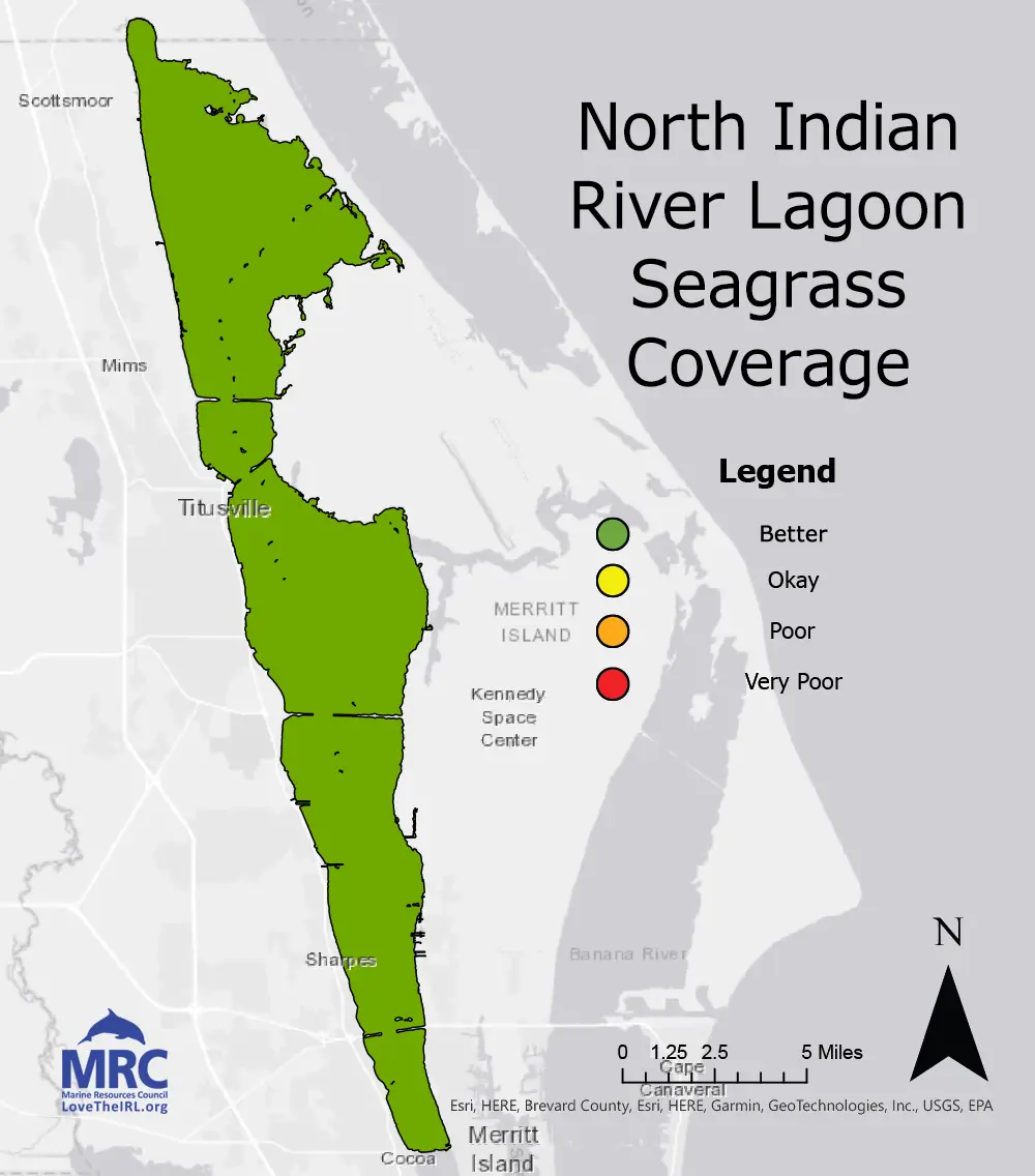 North Indian River Lagoon Seagrass Coverage