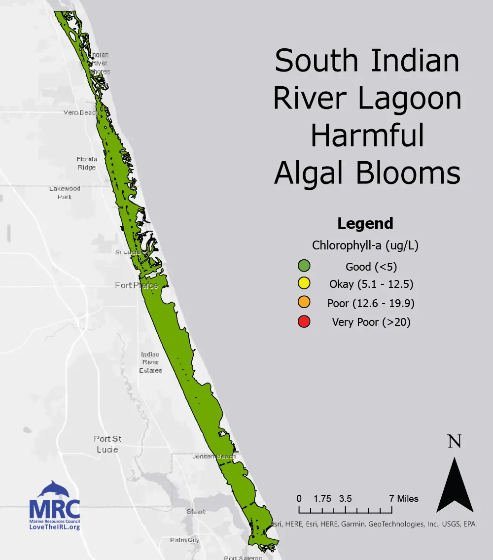 South Indian River Lagoon Harmful Algal Blooms