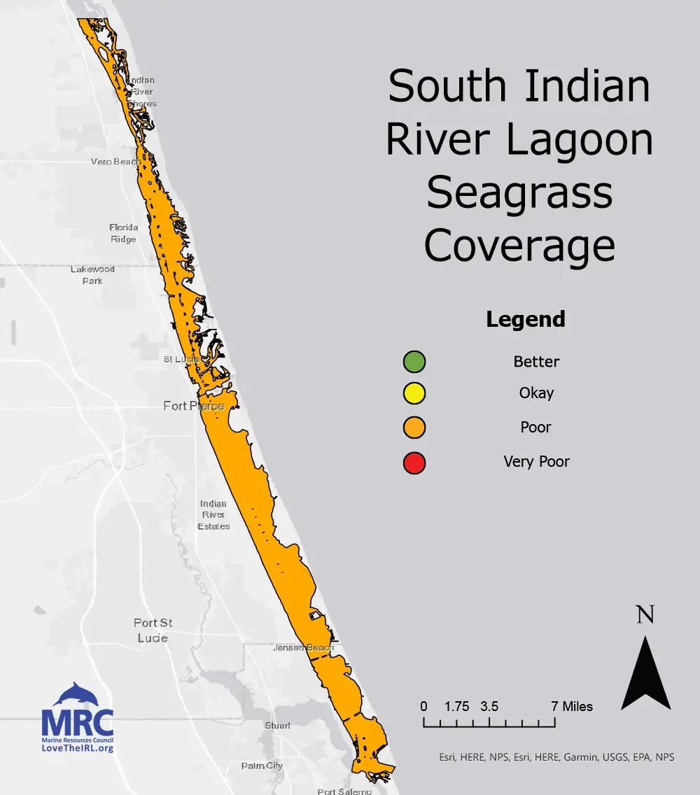 South Indian River Lagoon Seagrass Coverage