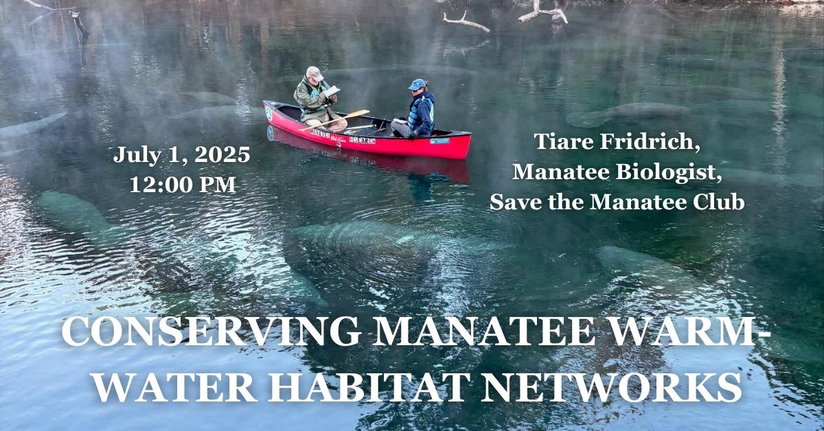 Conserving Manatee Warm-Water Habitat Networks: July 2025 Lagoon at Noon