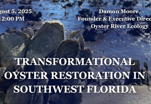 Transformational Oyster Restoration in Southwest Florida: August 2025 Lagoon at Noon