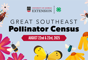 Great Southeast Pollinator Census: August 22 and 23, 2025