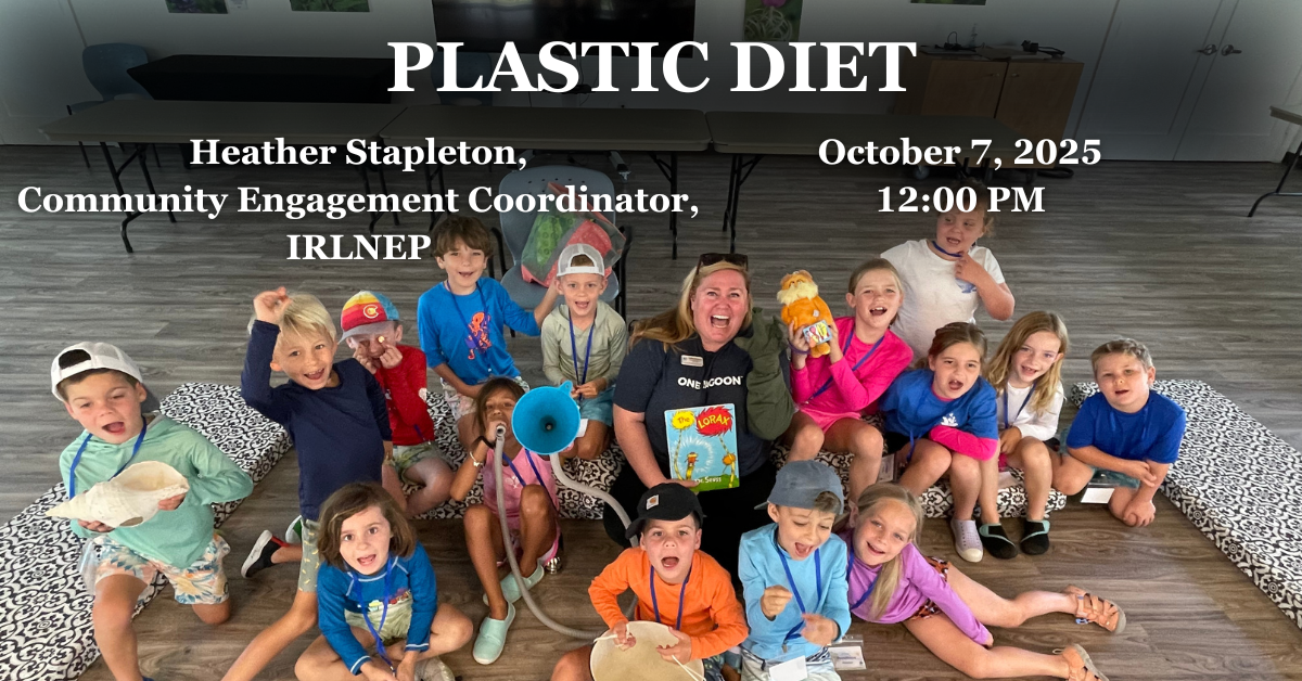 Plastic Diet: October 2025 Lagoon at Noon