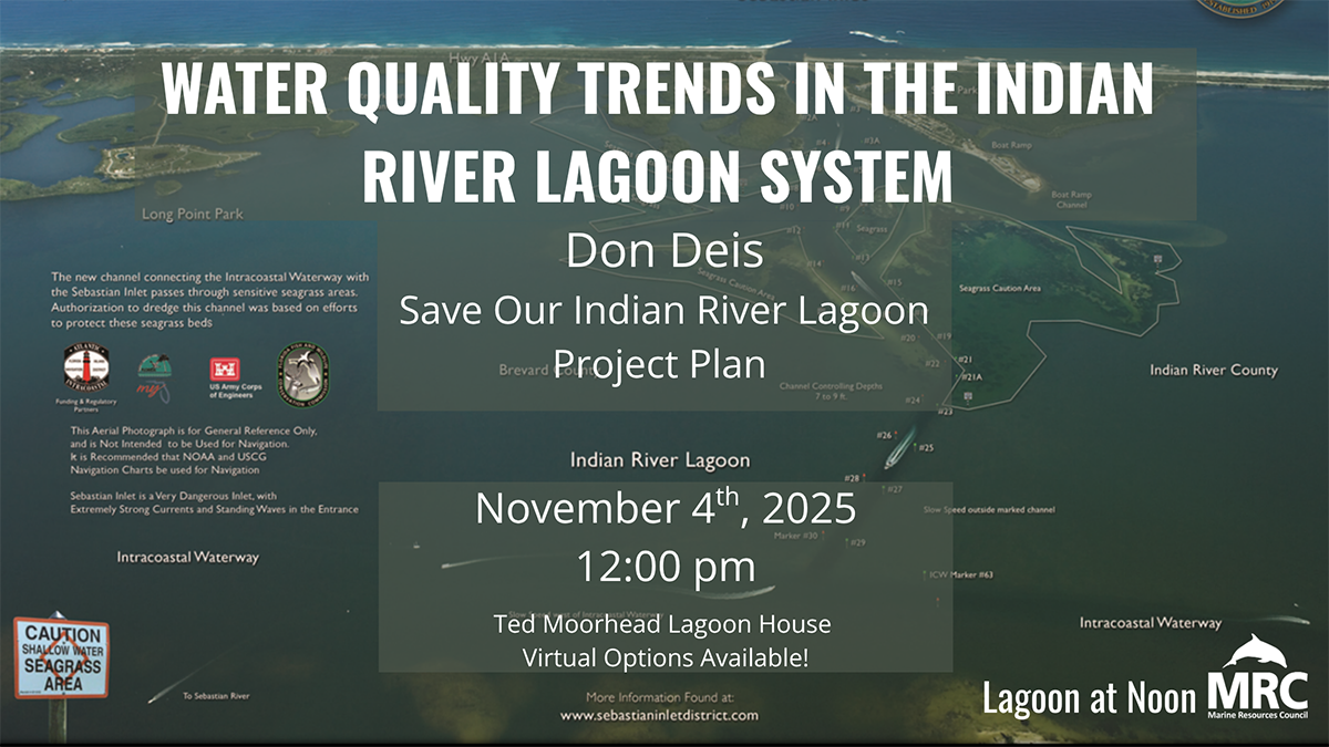 20251104-water-quality-trends Water Quality Trends: November 2025 Lagoon at Noon