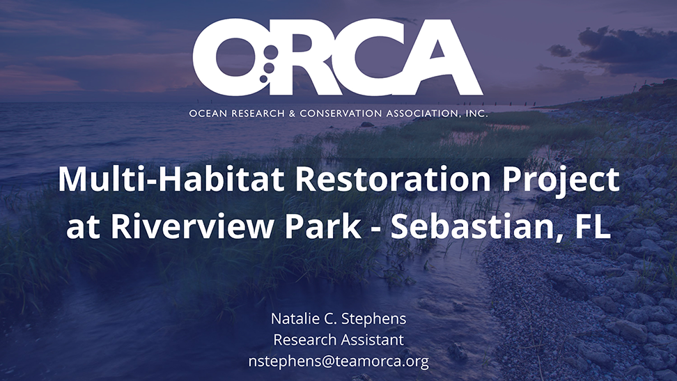 ORCA's Multi-Habitat Restoration Project at Riverview Park — Sebastian, Florida Natalie C. Stephens & Missy Weiss, Ocean Research & Conservation Association 2025 MRC Low Impact Development Conference