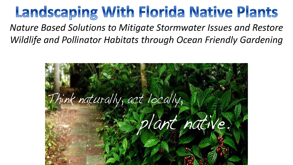 Bioswales as LID: Lessons from Indialantic's Ocean Friendly Gardens for Water Quality & Community Resilience Project Bill DeLuccia, Space Coast Surfrider Chapter 2025 MRC Low Impact Development Conference