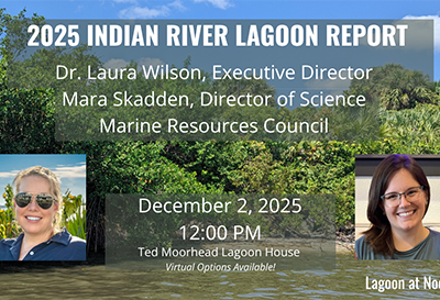 2025 IRL Report: December 2025 Lagoon at Noon