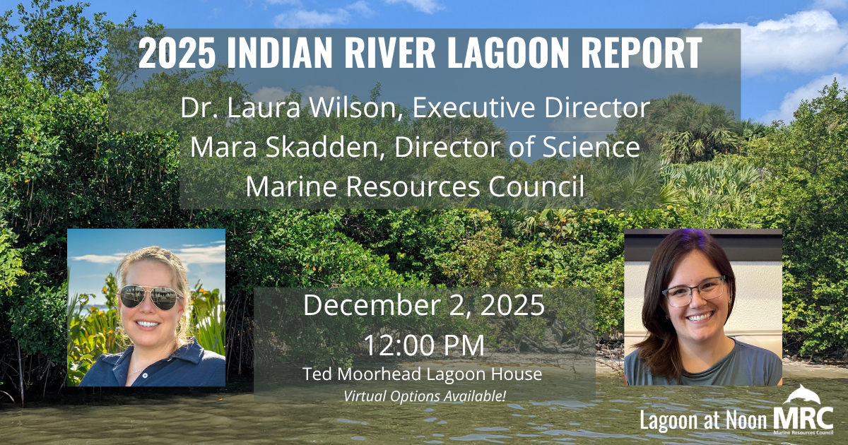 20251202-2025-irl-report 2025 IRL Report: December 2025 Lagoon at Noon