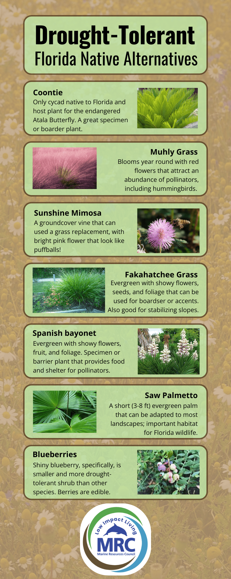 Drought-tolerant natives