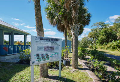 Mangrove Workshop at the Lagoon House (Palm Bay)