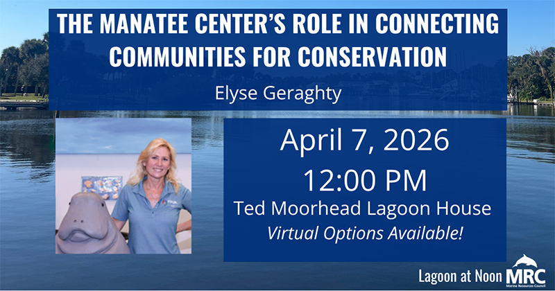 The Manatee Center's Role in Connecting Communities for Conservation: April 2026 Lagoon at Noon