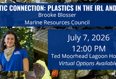 The Plastic Connection: July 2026 Lagoon at Noon