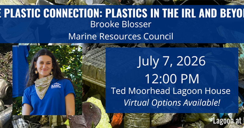 The Plastic Connection: July 2026 Lagoon at Noon