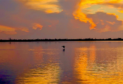 Lagoon Side Chat - July 2026