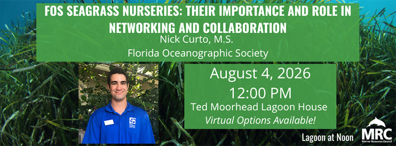 20260804-lan-seagrass-nurseries Florida Oceanographic Society's Seagrass Nurseries: August 2026 Lagoon at Noon