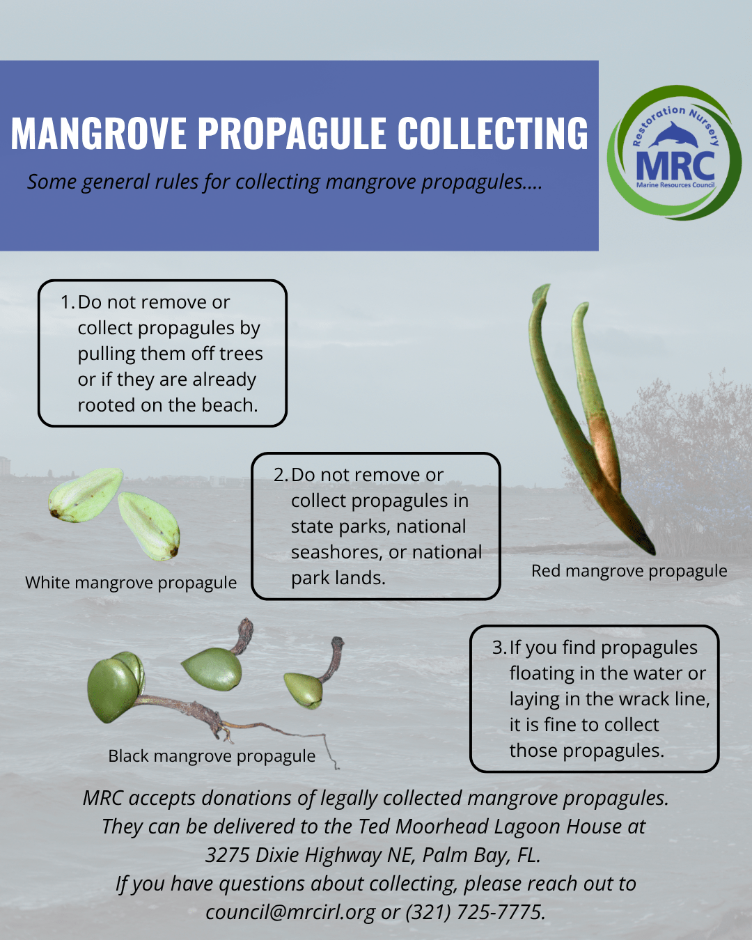 Mangrove propagule collection guidelines