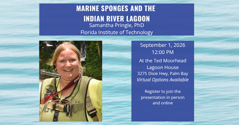 20260901-lan-marine-sponges FIT Presents Marine Sponges and the IRL: September 2026 Lagoon at Noon