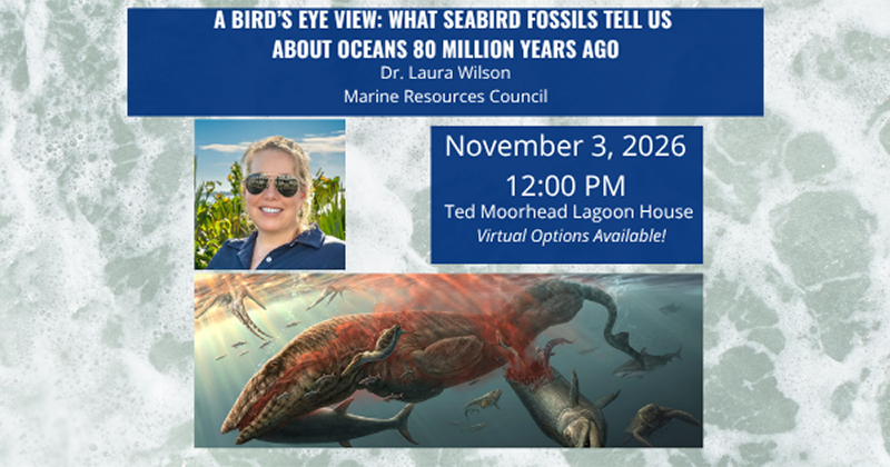 20261103-lan-seabird-fossils What Seabird Fossils Tells Us About Oceans 80 Million Years Ago: November 2026 Lagoon at Noon